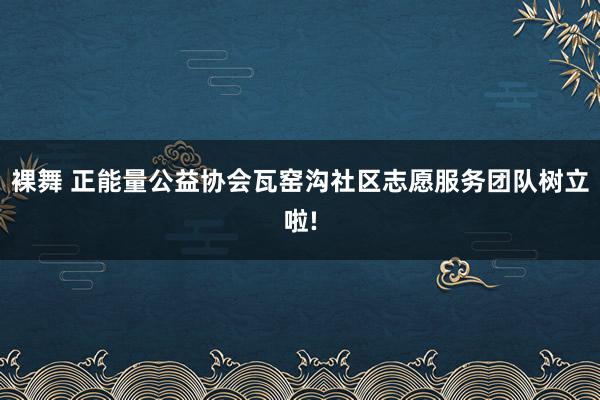 裸舞 正能量公益协会瓦窑沟社区志愿服务团队树立啦!