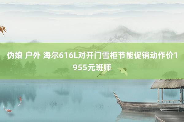 伪娘 户外 海尔616L对开门雪柜节能促销动作价1955元班师