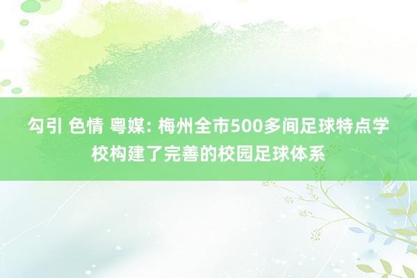 勾引 色情 粤媒: 梅州全市500多间足球特点学校构建了完善的校园足球体系